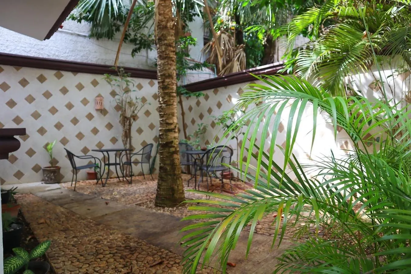 Close To Beach, Quinta,Ferry To Cozumel And Xcaret Playa del Carmen 0*,
