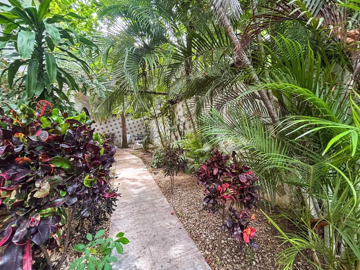 Close To Beach, Quinta,Ferry To Cozumel And Xcaret Playa del Carmen