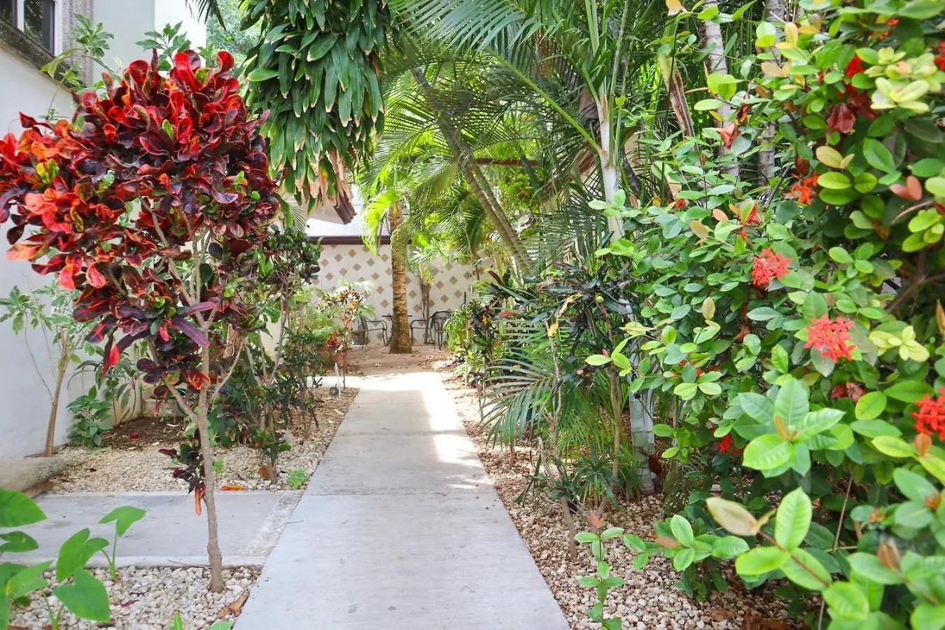 Close To Beach, Quinta,Ferry To Cozumel And Xcaret Playa del Carmen 0*,  Mexico