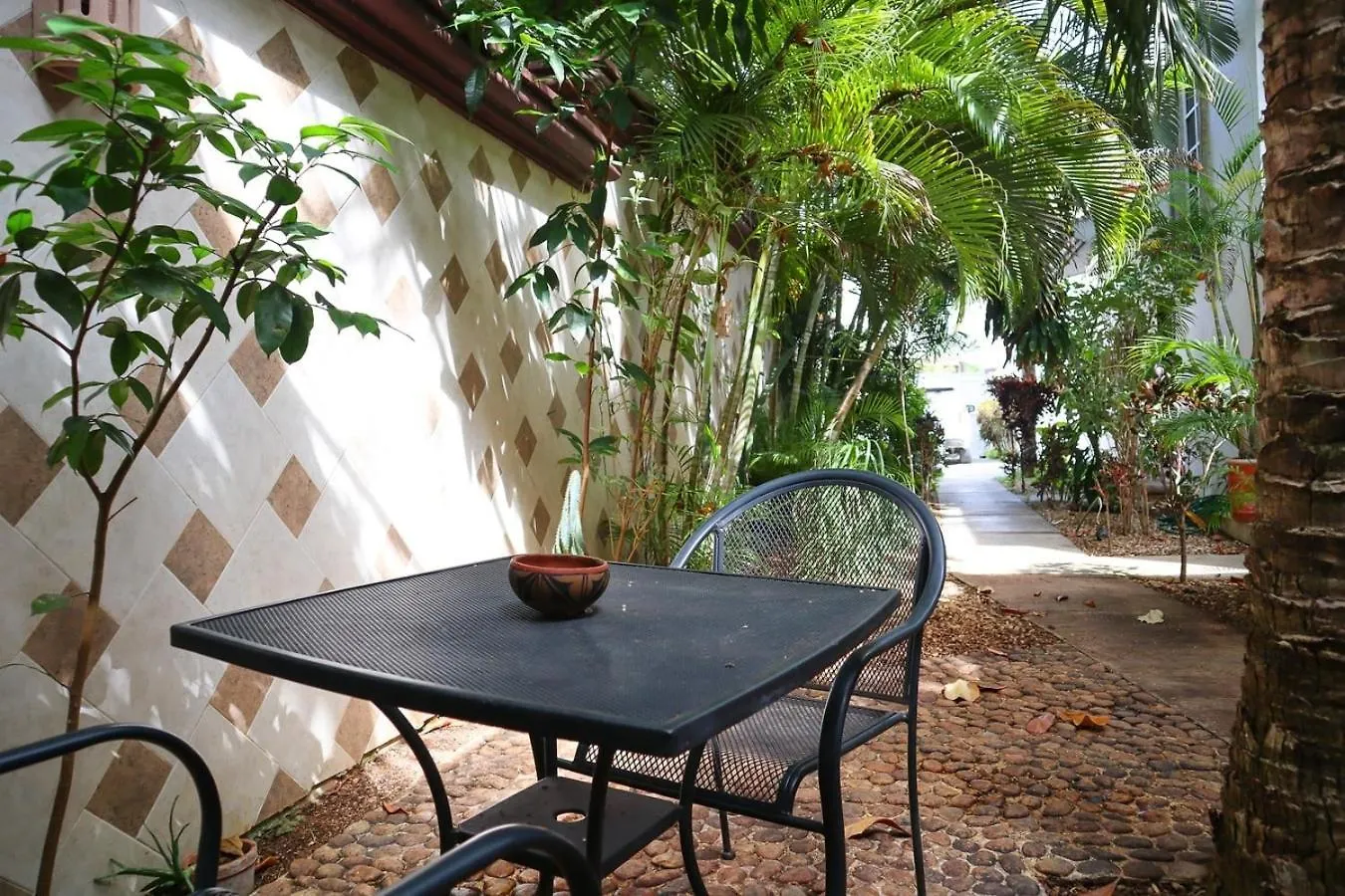 Apartment Close To Beach, Quinta,Ferry To Cozumel And Xcaret Playa del Carmen
